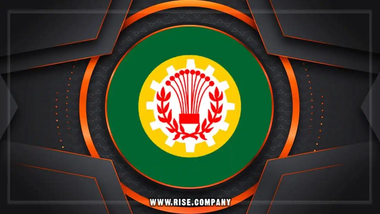 عمل ايميل باسم الشركة فى الدقهلية